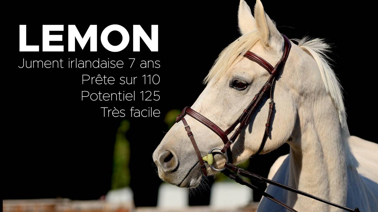 Merrie Iers sportpaard Te koop 2018 Palomino ,  Tullabeg Fusion