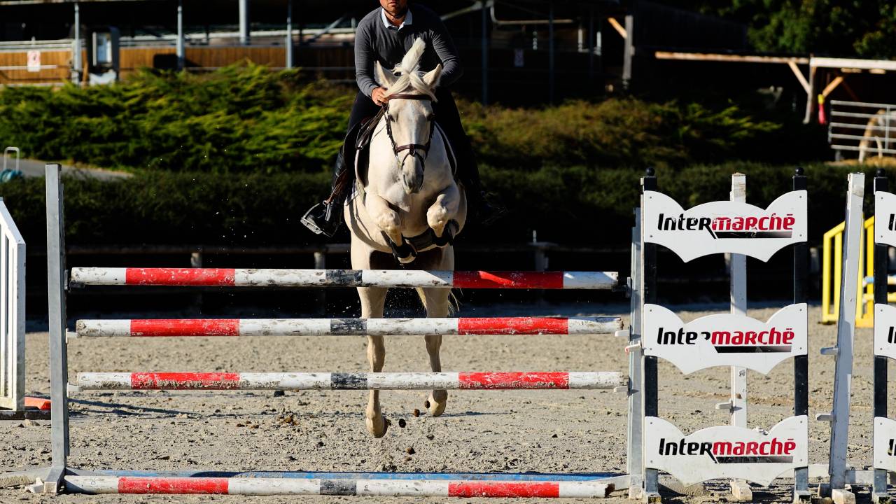 Merrie Iers sportpaard Te koop 2018 Palomino ,  Tullabeg Fusion