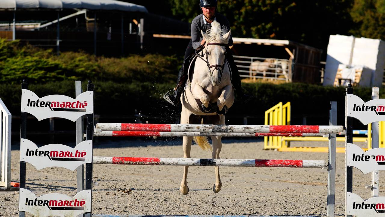 Merrie Iers sportpaard Te koop 2018 Palomino ,  Tullabeg Fusion