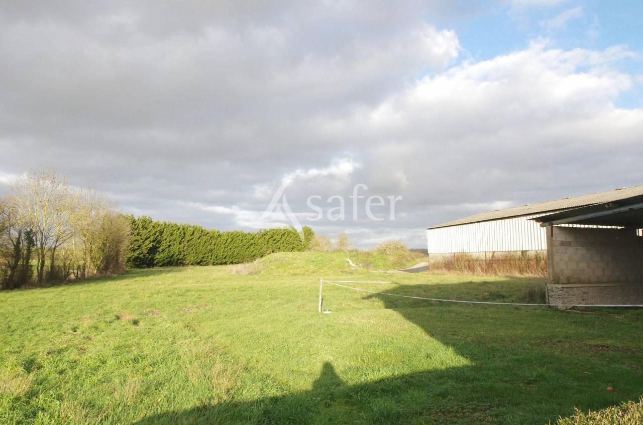 Ander plattelands vastgoed Koop Charente