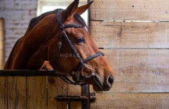Hippisch vastgoed Koop Bouches-du-Rhône