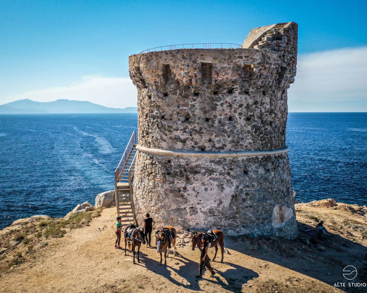 Begeleider ruitertoerisme - Contract bepaalde tijd Voltijds - Corse-du-Sud Frankrijk