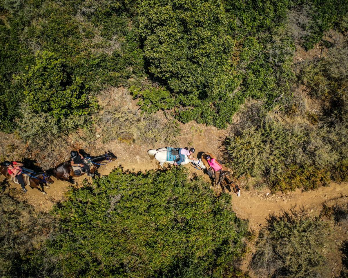 Begeleider ruitertoerisme - Contract bepaalde tijd Voltijds - Corse-du-Sud Frankrijk