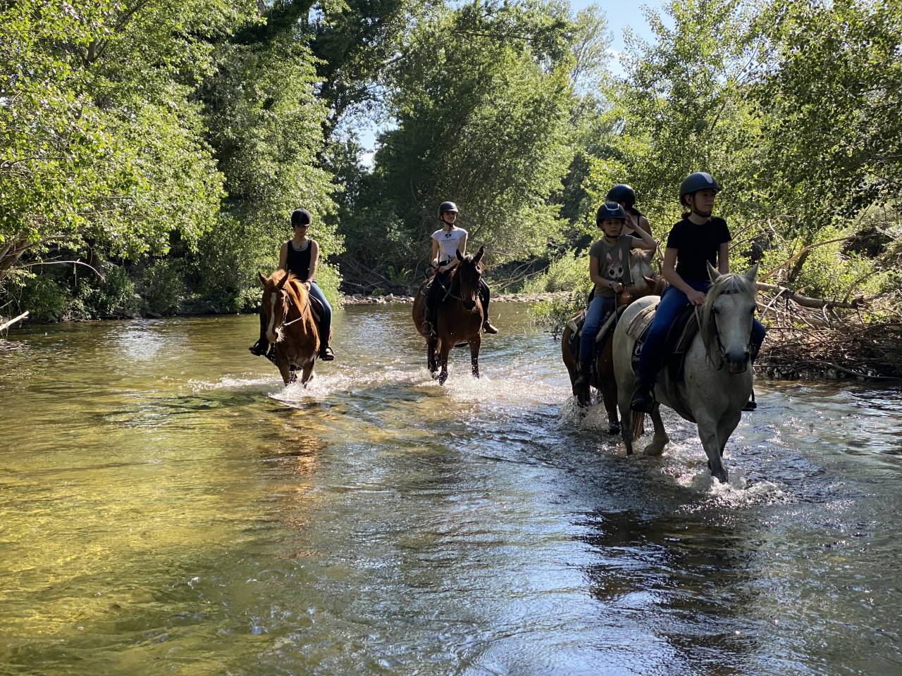 Begeleider ruitertoerisme - Contract bepaalde tijd Voltijds - Corse-du-Sud Frankrijk