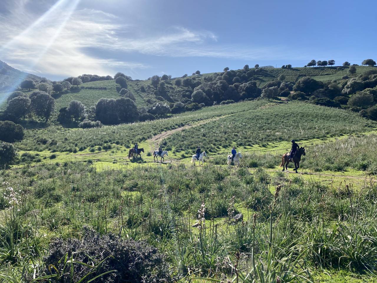 Begeleider ruitertoerisme - Contract bepaalde tijd Voltijds - Corse-du-Sud Frankrijk