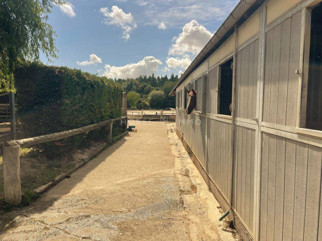 Ruiterclub Koop Yvelines