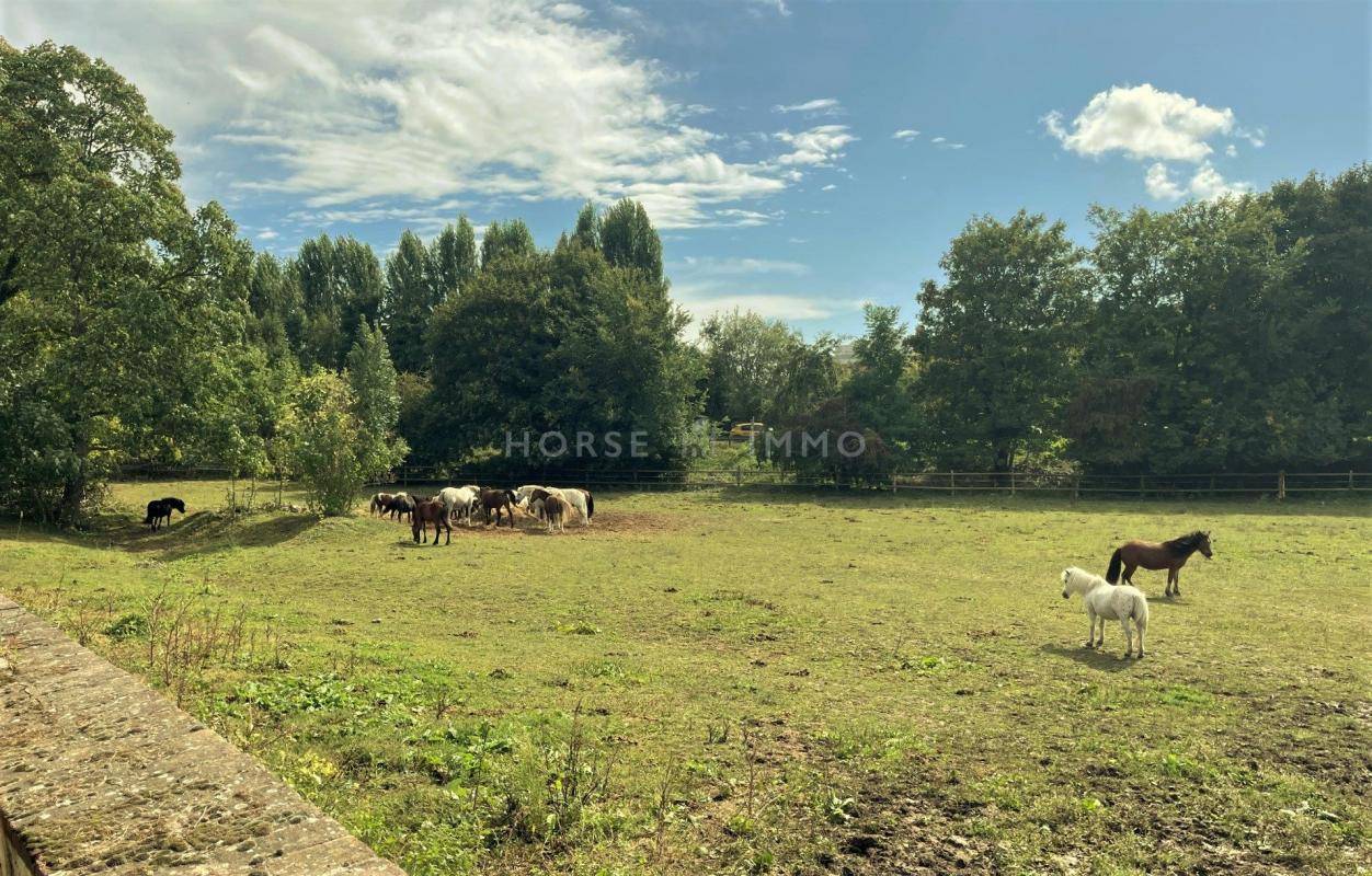 Ruiterclub Koop Yvelines