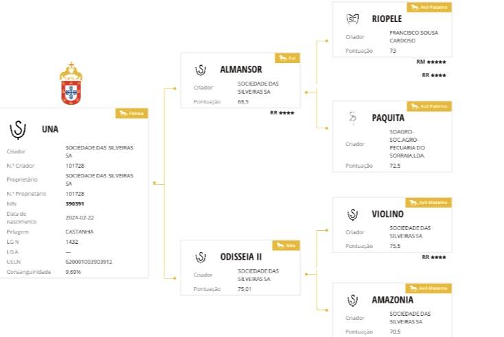 Veulen (vr) Lusitano Te koop 2024 Schimmel ,  Almansor SS