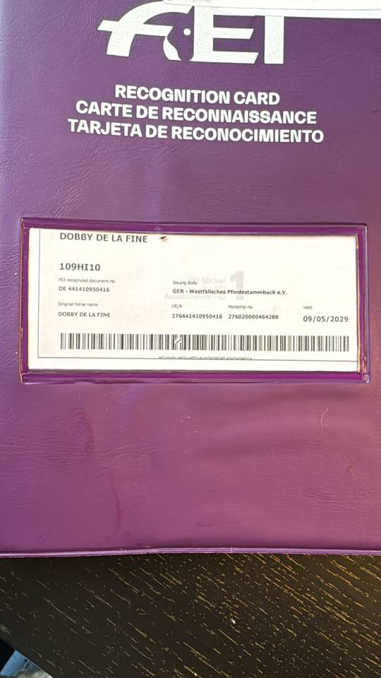 Ruin Hannoveraan  Te koop 2016 Bruin / Bai