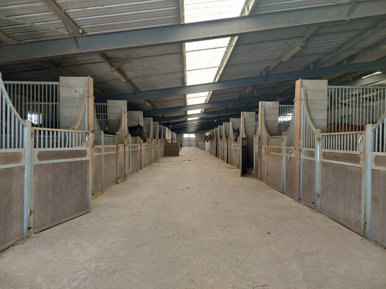 Ponyclub Koop Loire-Atlantique