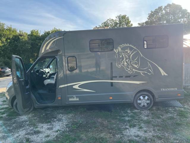 Kleine paardenvrachtwagen (B rijbewijs) Trans Box RM08 2018 Tweedehands