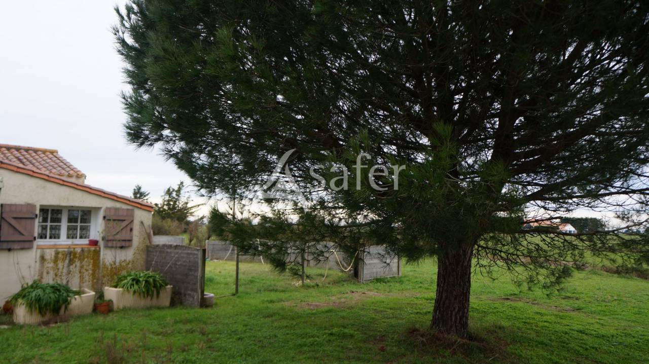 Hippisch vastgoed Koop Vendée
