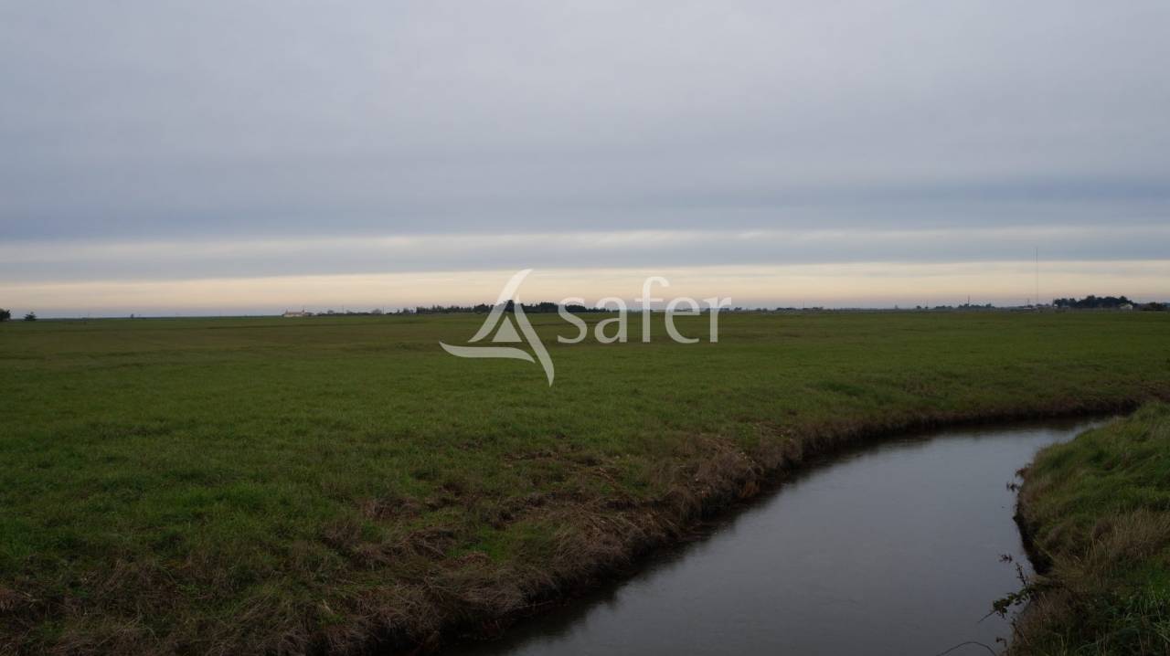 Hippisch vastgoed Koop Vendée