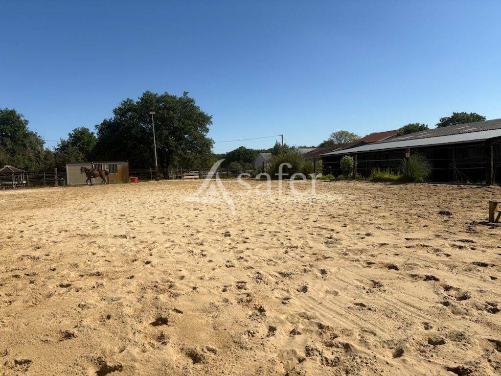 Hippisch vastgoed Koop Loire-Atlantique