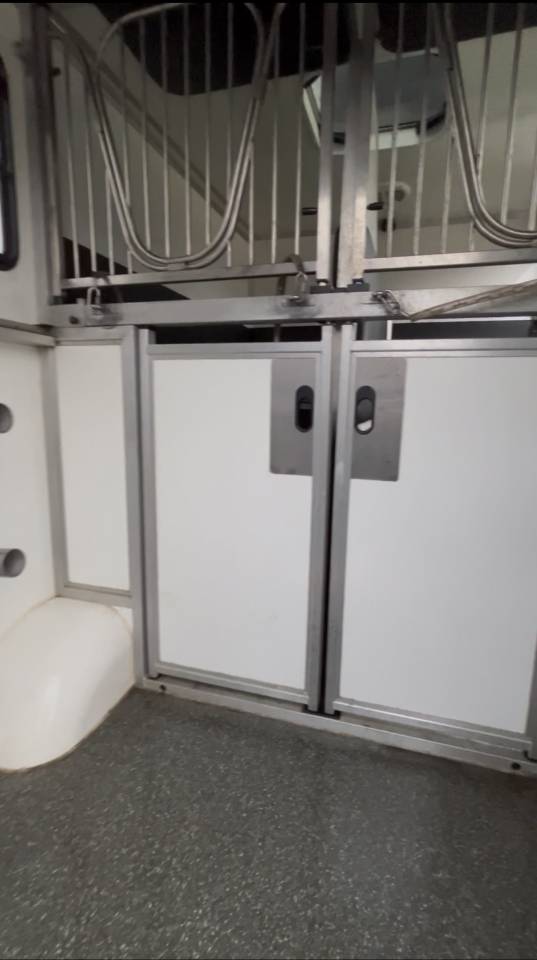 Kleine paardenvrachtwagen (B rijbewijs) Renault DCI 180 2021 Tweedehands