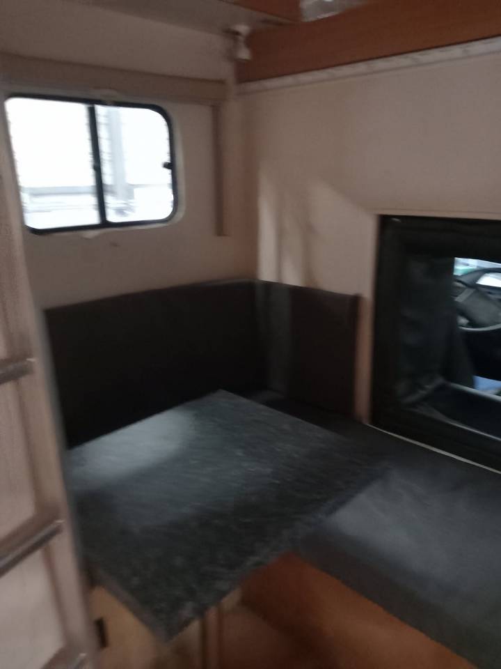 Zware paardenvrachtwagen (groot rijbewijs) Renault  1996 Tweedehands