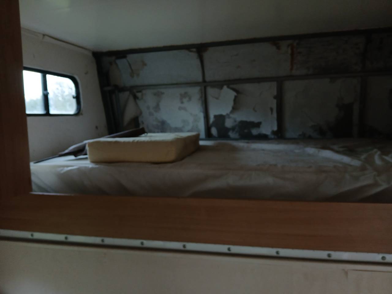 Zware paardenvrachtwagen (groot rijbewijs) Renault  1996 Tweedehands