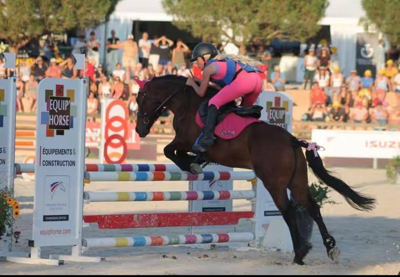 Ruin Welsh Pony (Section C) Te koop 2018 Donker bruin / bai