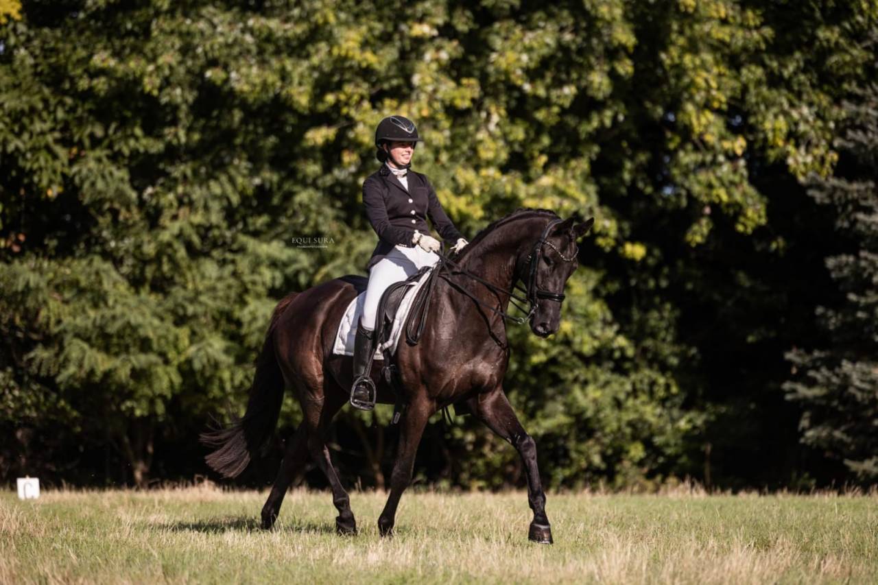 Te koop: Prins Fürst Haepke