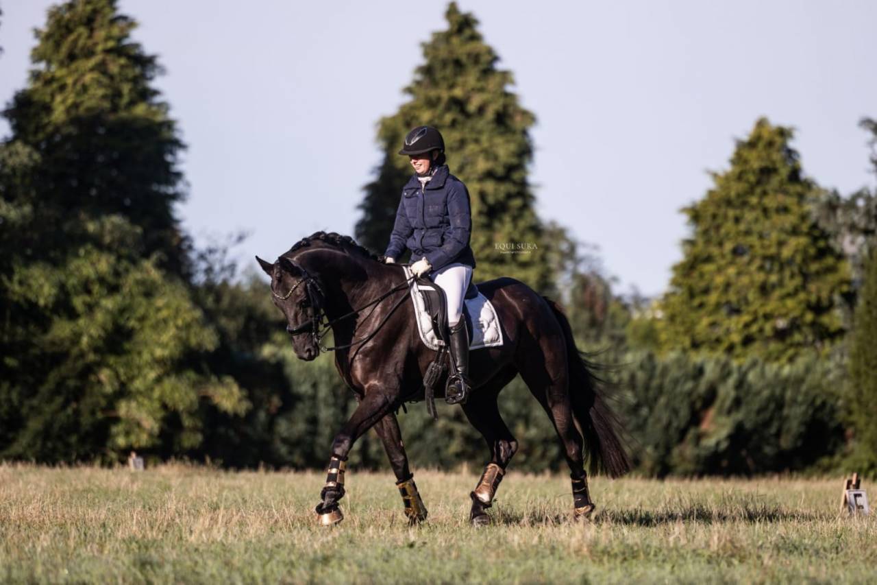 Te koop: Prins Fürst Haepke