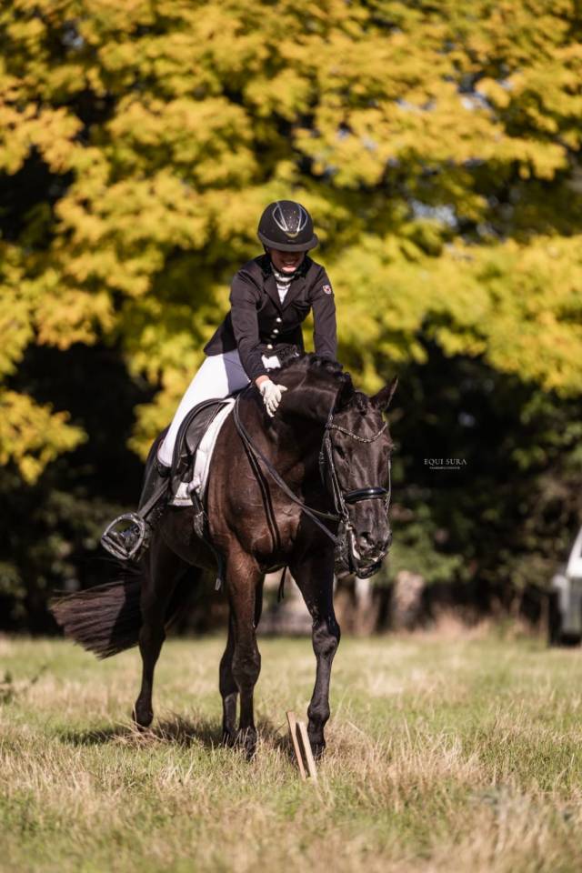 Te koop: Prins Fürst Haepke