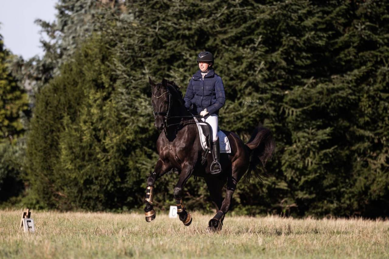 Te koop: Prins Fürst Haepke