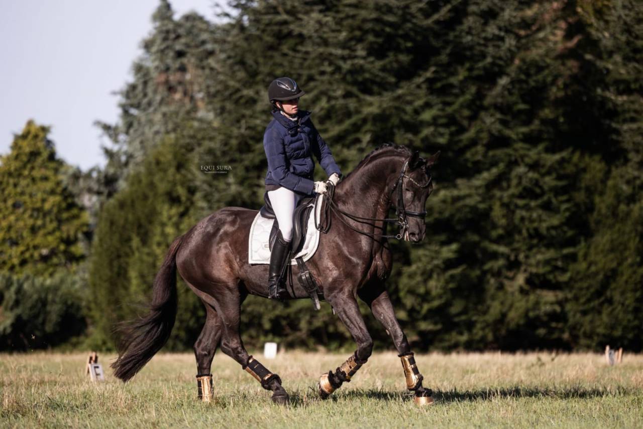 Te koop: Prins Fürst Haepke