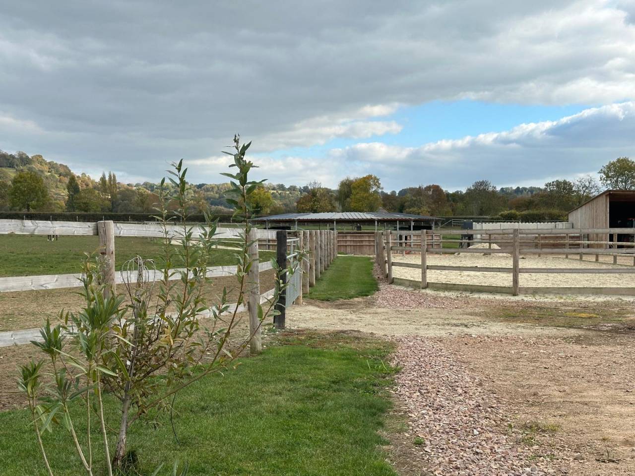 Eigenaren stal Koop Calvados