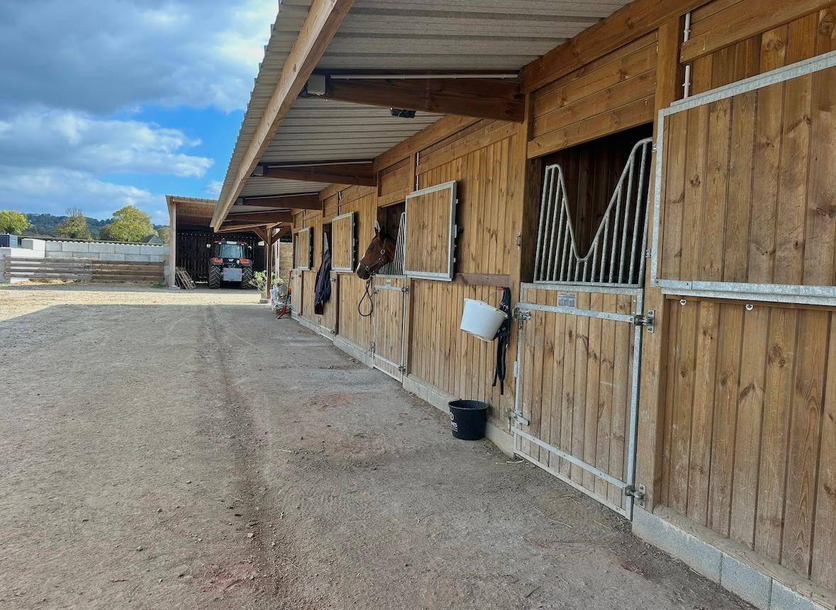 Eigenaren stal Koop Calvados