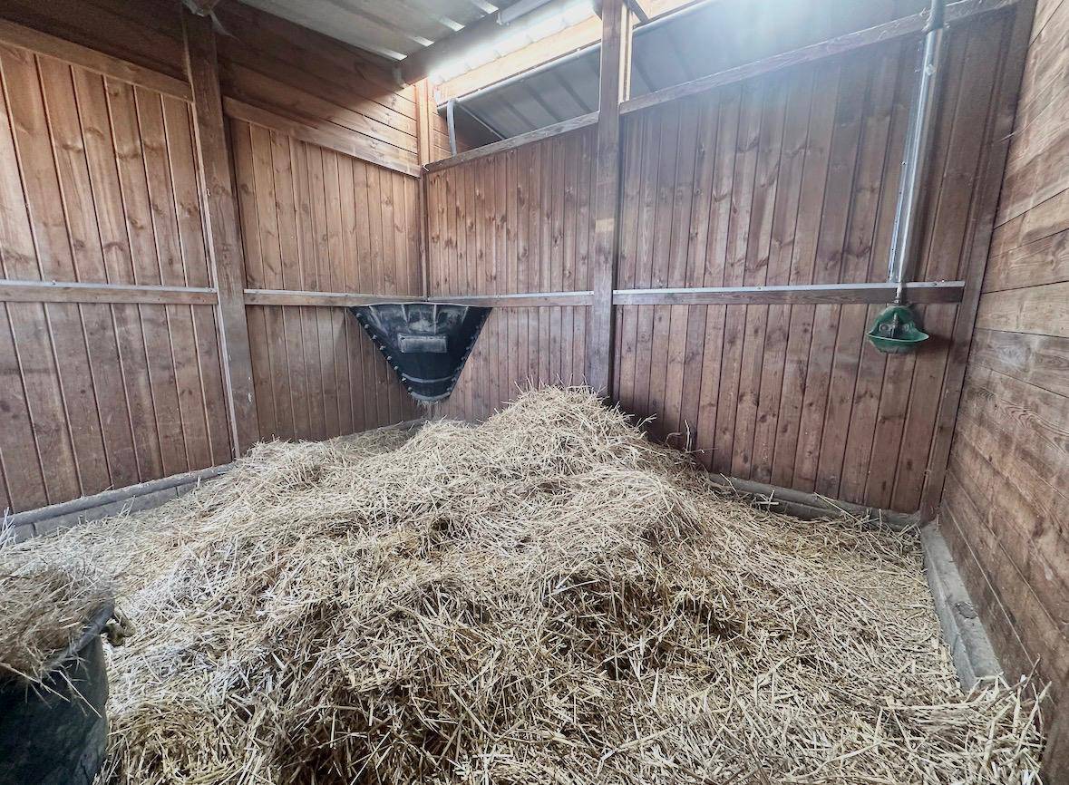 Eigenaren stal Koop Calvados