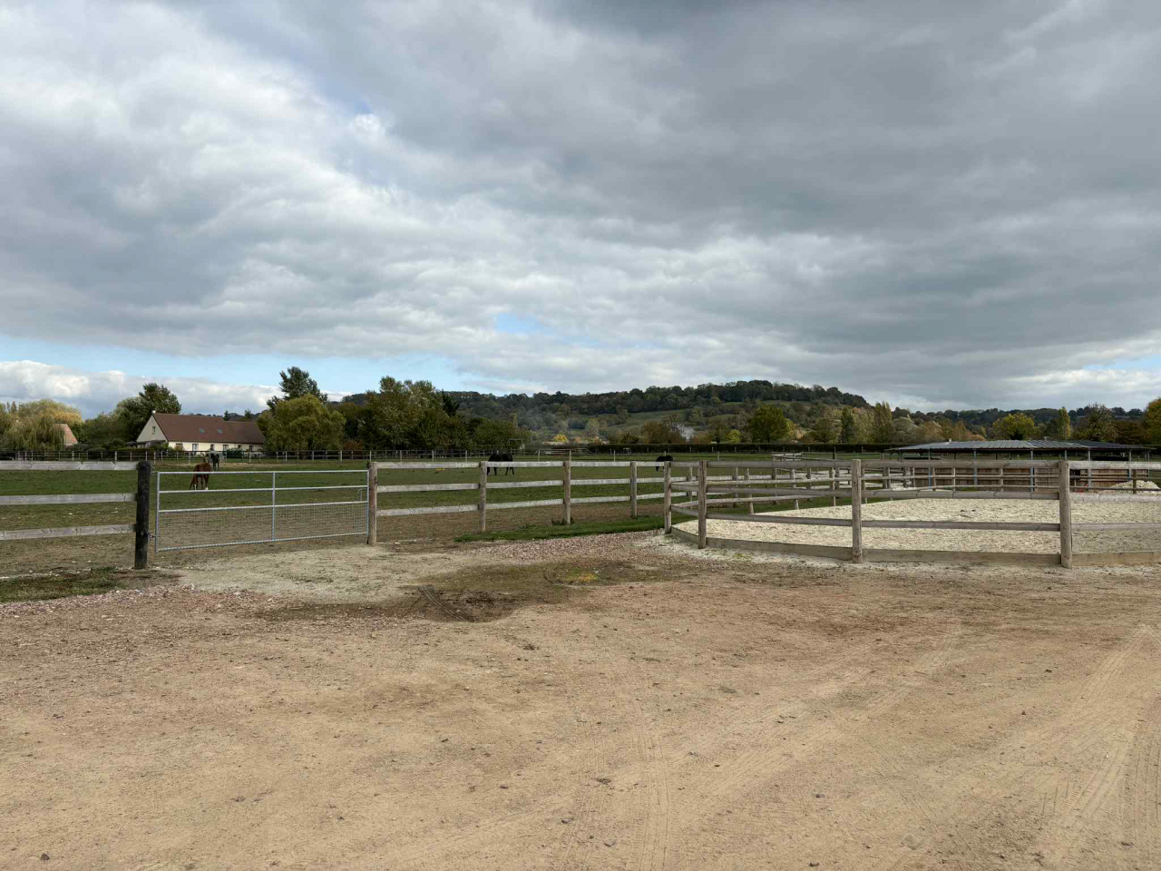 Eigenaren stal Koop Calvados