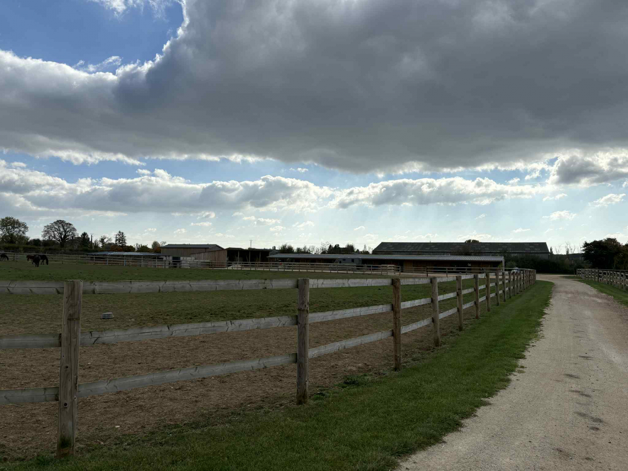 Eigenaren stal Koop Calvados