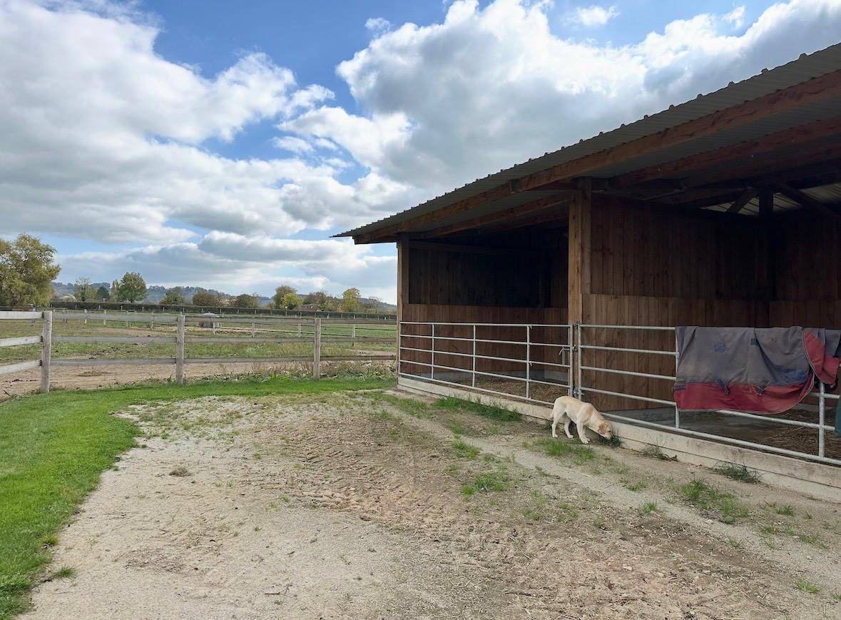 Eigenaren stal Koop Calvados