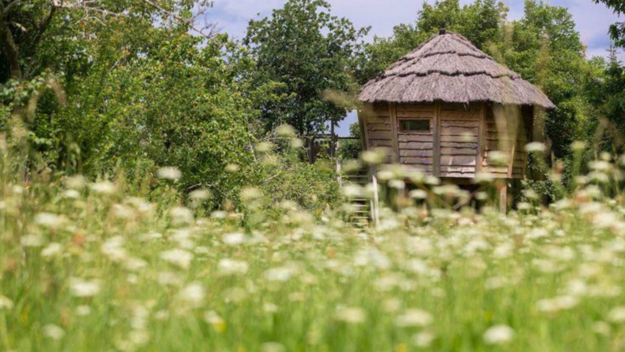 Hippisch vastgoed Koop Gers