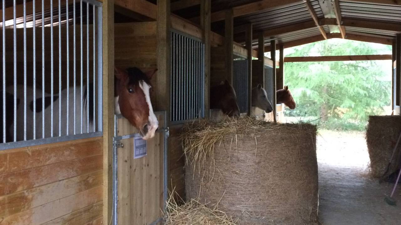 Hippisch vastgoed Koop Gers