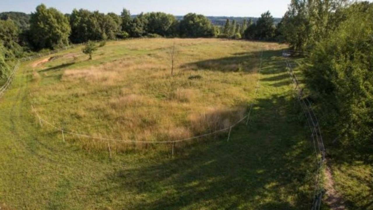 Hippisch vastgoed Koop Gers