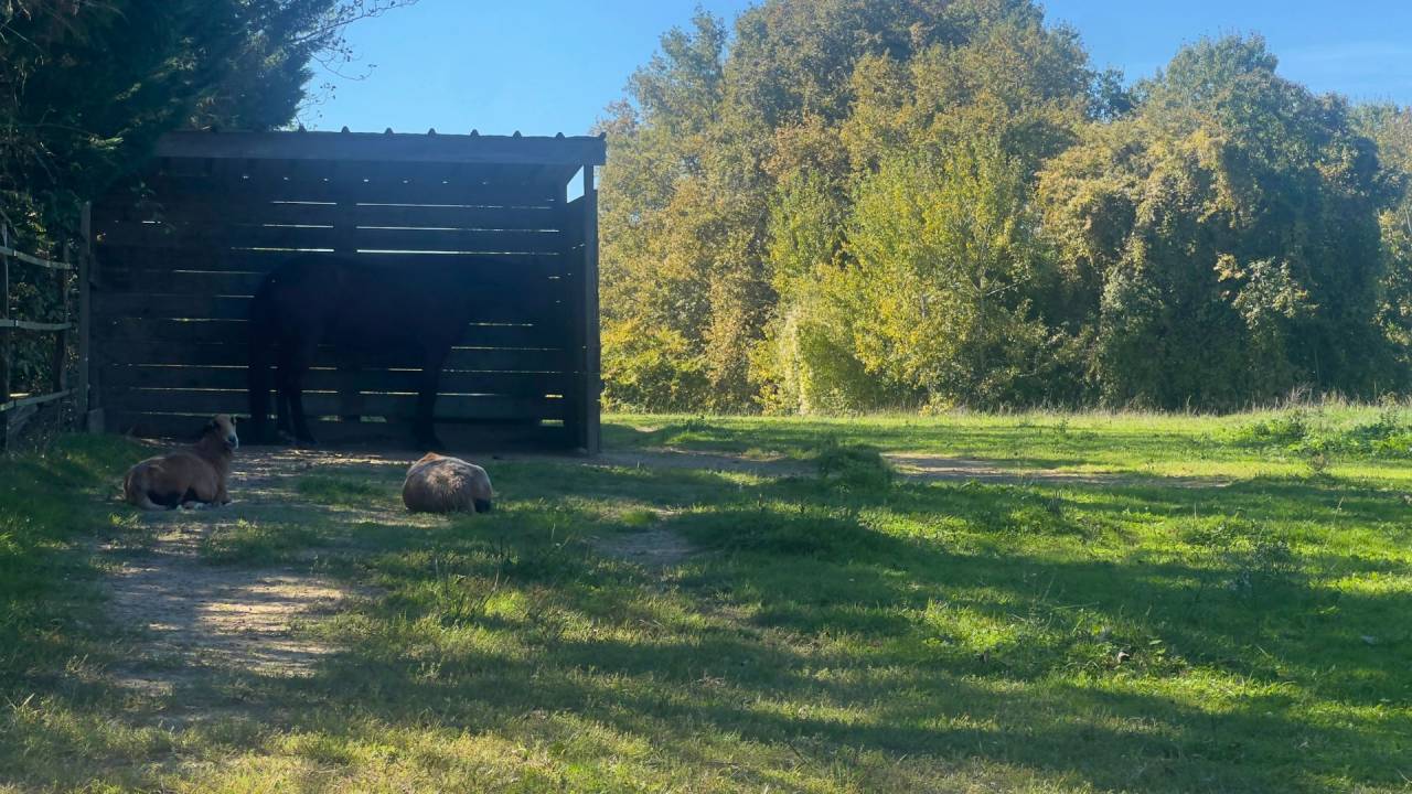 Hippisch vastgoed Koop Gers