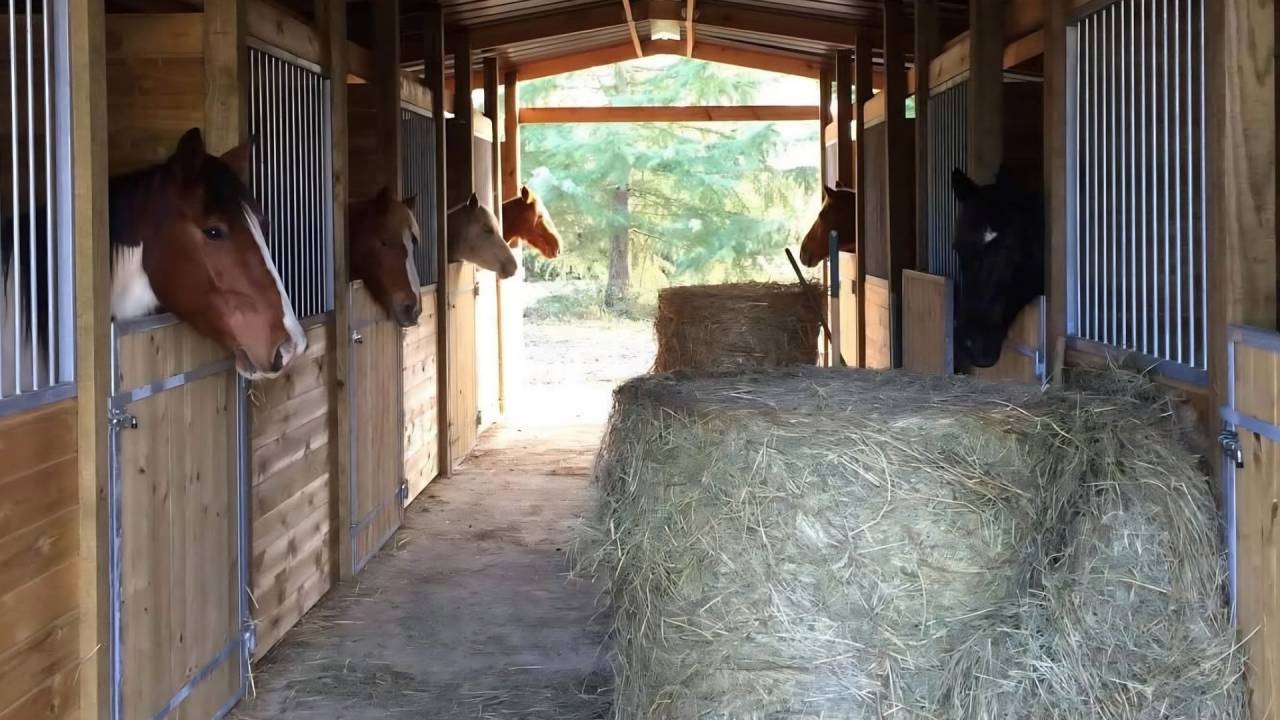 Hippisch vastgoed Koop Gers