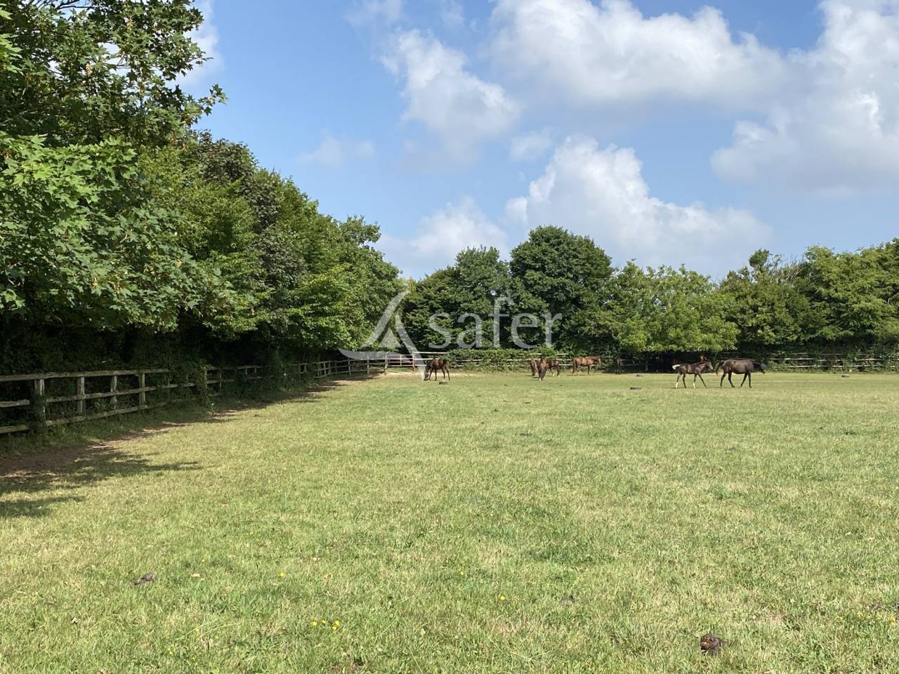 Landbouw bedrijf Koop Orne