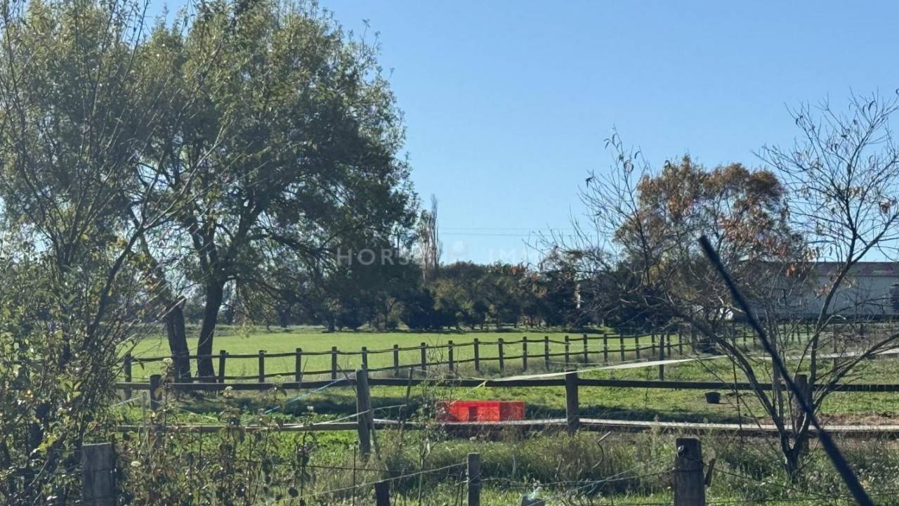 Hippisch vastgoed Koop Gard
