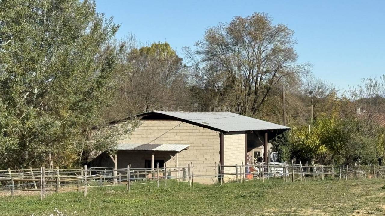 Hippisch vastgoed Koop Gard