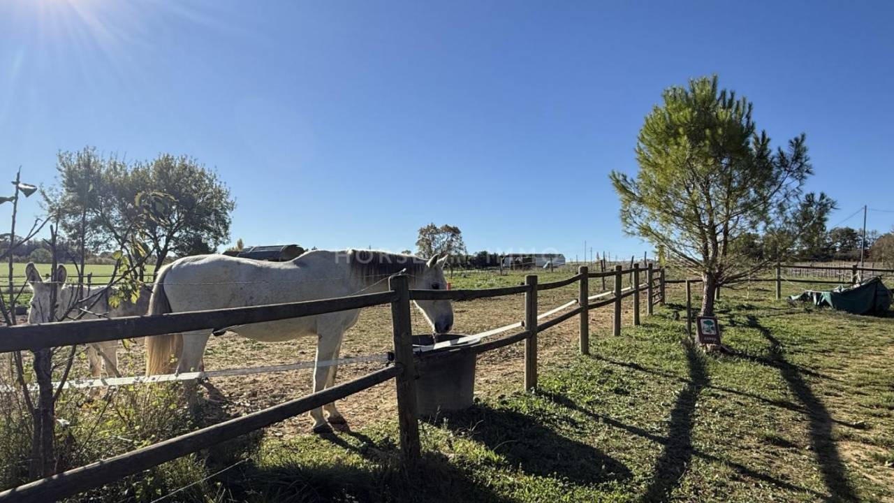 Hippisch vastgoed Koop Gard