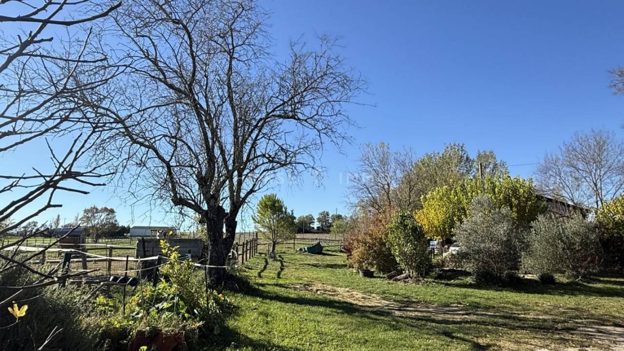 Hippisch vastgoed Koop Gard