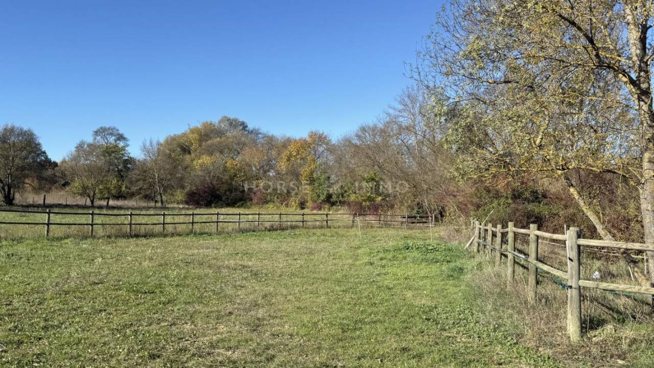 Hippisch vastgoed Koop Gard