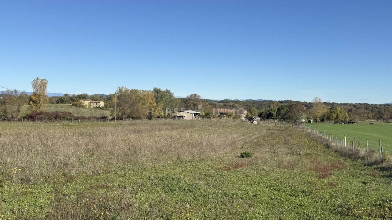 Hippisch vastgoed Koop Gard