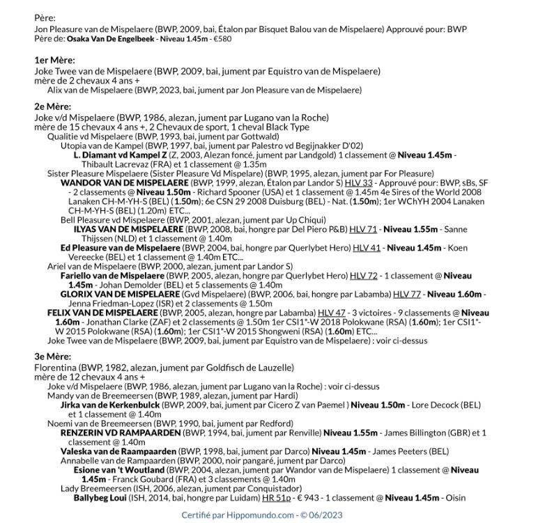 Merrie BWP Belgisch volbloed Te koop 2023 Donker bruin / bai ,  JON PLEASURE VAN DE MISPELAERE