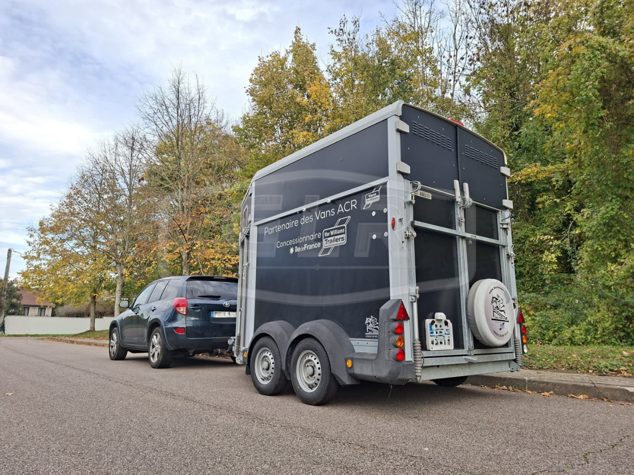 Paardentrailers Ifor Williams HB 511 OBLIQUE PP 2 Paarden 2017 Tweedehands