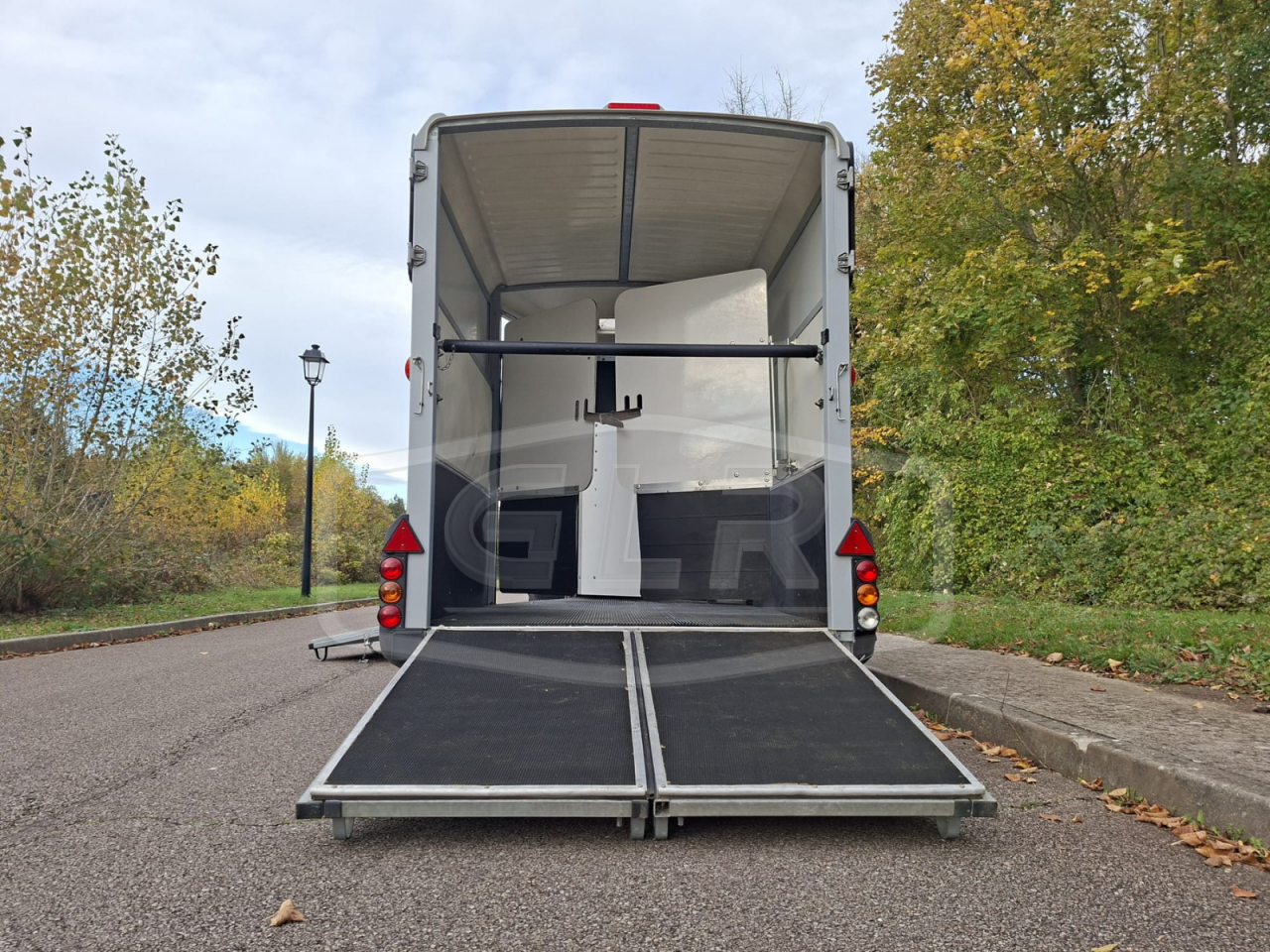 Paardentrailers Ifor Williams HB 511 OBLIQUE PP 2 Paarden 2017 Tweedehands