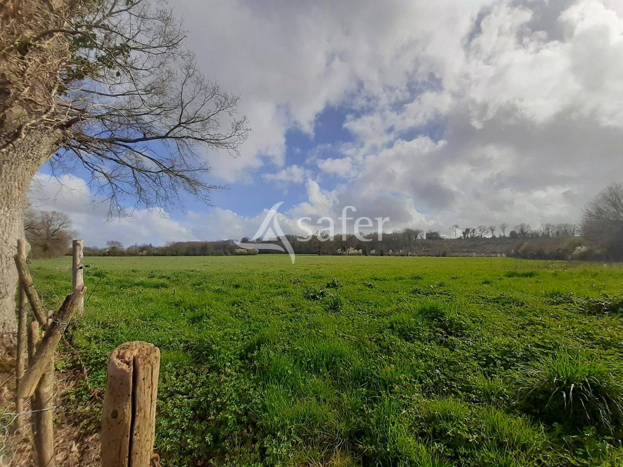 Schapen exploitatie Koop Deux-Sèvres