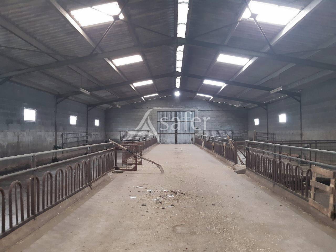 Schapen exploitatie Koop Deux-Sèvres